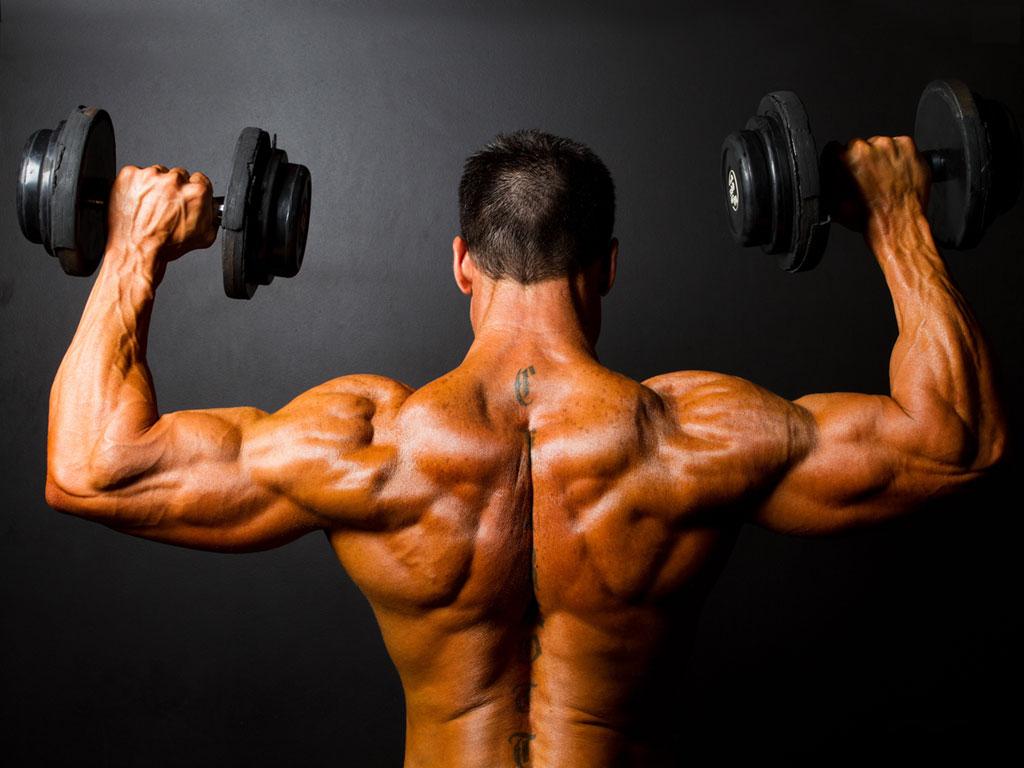To where can you get steroids for sale at the greatest price post thumbnail image
