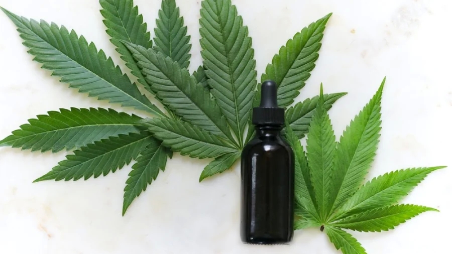 Change Your Life With One Drop Of 1000 mg CBD Oil post thumbnail image