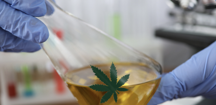 Will CBD show up on a drug test for weed? post thumbnail image
