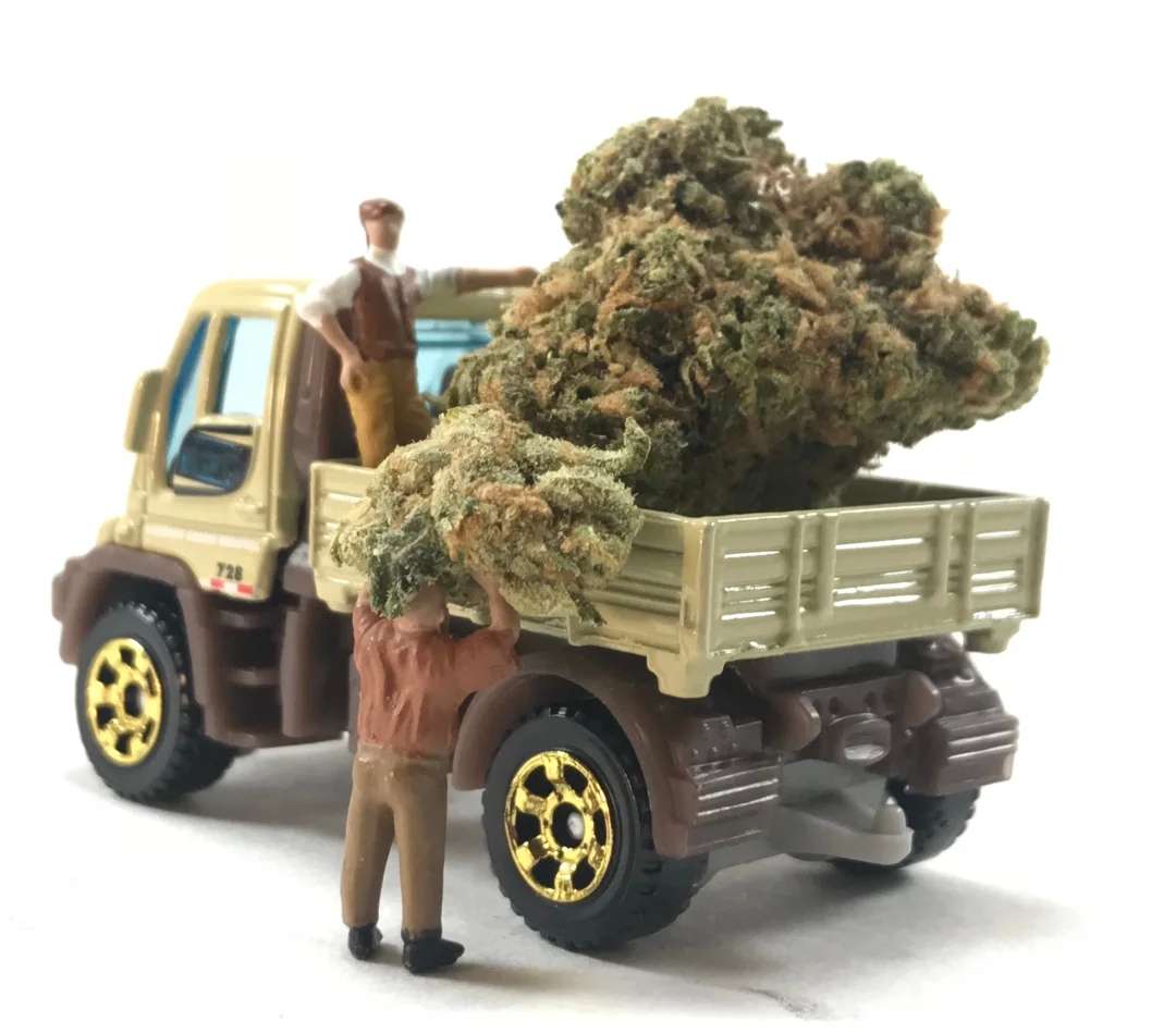 Be safe when getting weed delivered: follow these tips! post thumbnail image