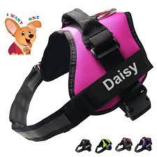 You will love the No pull harness for dogs that the dog store offers post thumbnail image