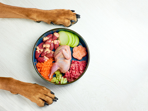 That are the disadvantages in unprocessed dog food? post thumbnail image