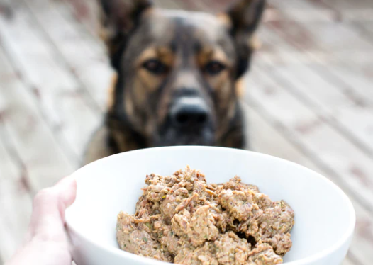The Truth about Raw dog food: Myths and Facts post thumbnail image